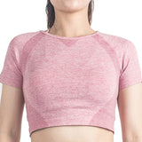 Women's Seamless Sports Bra or Workout Yoga Crop Top (Sold Separately) - bernefit	